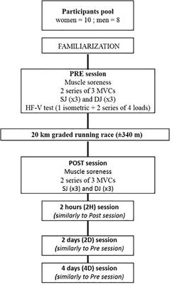 Sex Influence on the Functional Recovery Pattern After a Graded Running Race: Original Analysis to Identify the Recovery Profiles